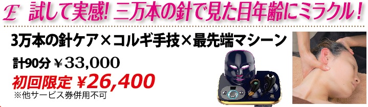 キャンペーンE